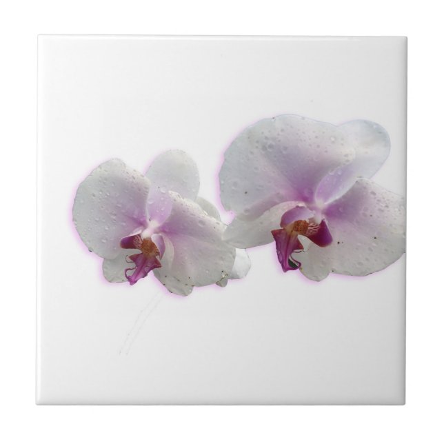 Orchid Flowers Ceramic Tile Kakelplatta (Framsidan)