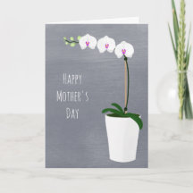 Orchid Flowers Mors dag Blommigt Illustration