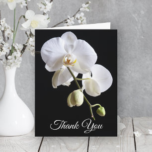 Orchid Flowers on Black Sympathy Tack Kort