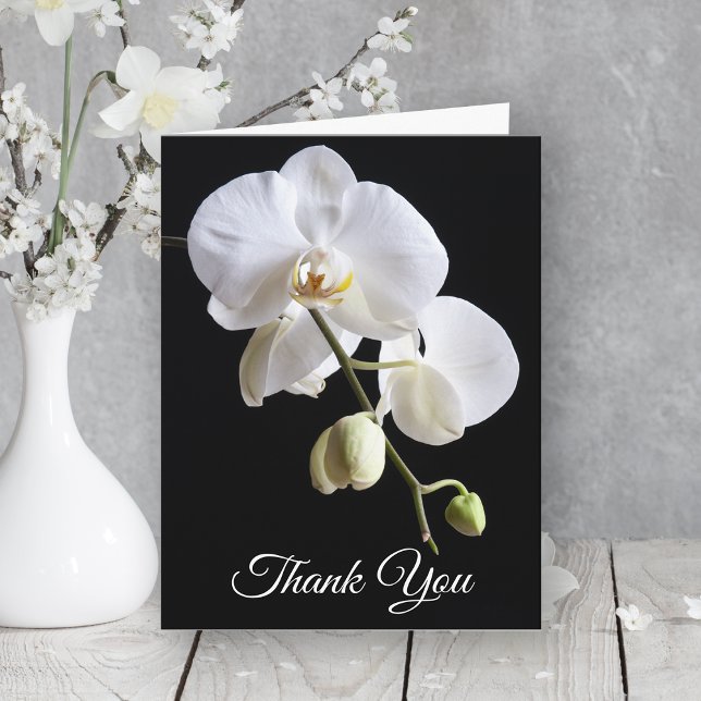 Orchid Flowers on Black Sympathy Tack Kort (Skapare uppladdad)