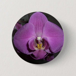 Orchid för lilor för Leopardhuvudgult Knapp