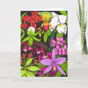 Orchid Garden Flowers Greeting Card Kort
