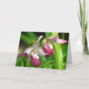 Orchid Greeting Card Kort