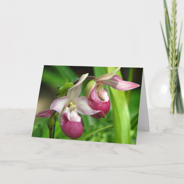 Orchid Greeting Card Kort (Framsida)
