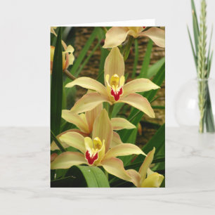 Orchid Hälsning Kort