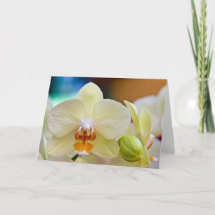 Orchid •, Hälsningkort Kort