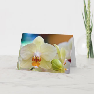 Orchid •, Hälsningkort Kort