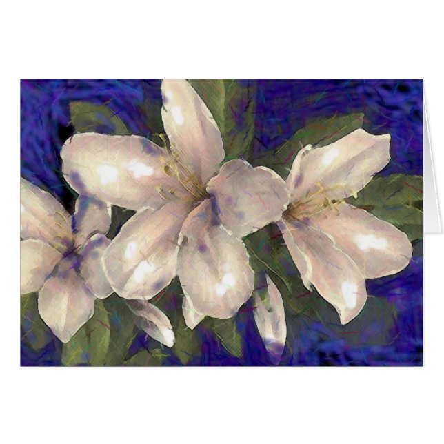 Orchid Hälsningskort (Framsidan Horizontal)