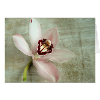 Orchid Hälsningskort