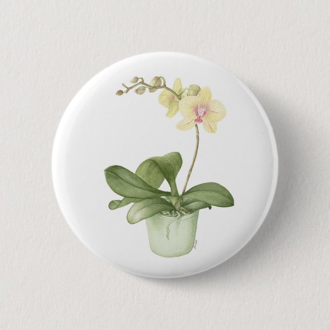 Orchid i ett grönt krukaakvarellemblem knapp (Framsida)