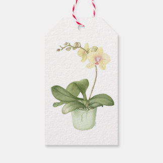 Orchid i Grönt Pot Botanical Watercolor Presentetikett