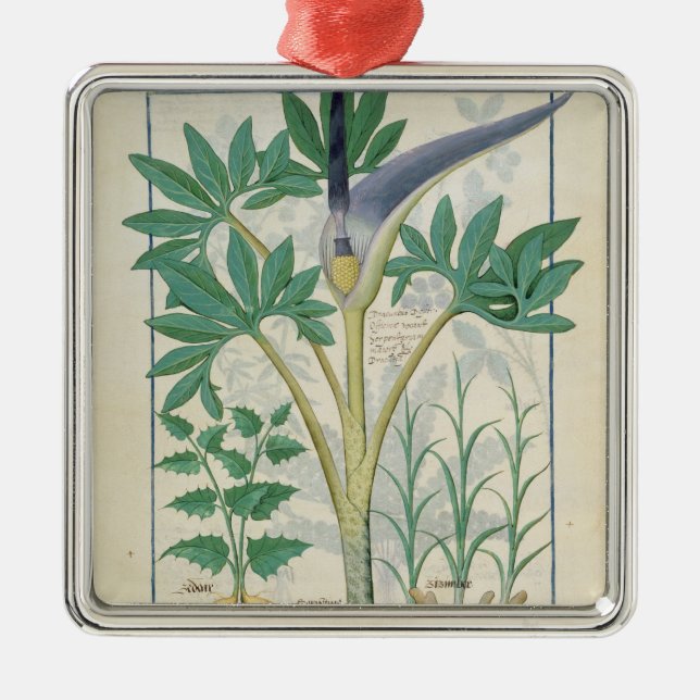 Orchid Julgransprydnad Metall (Framsidan)