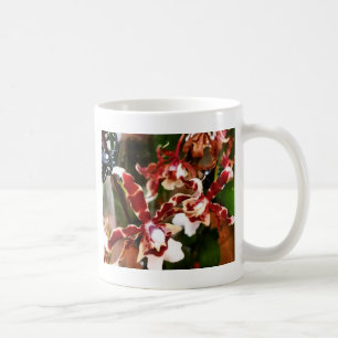 Orchid Kaffemugg