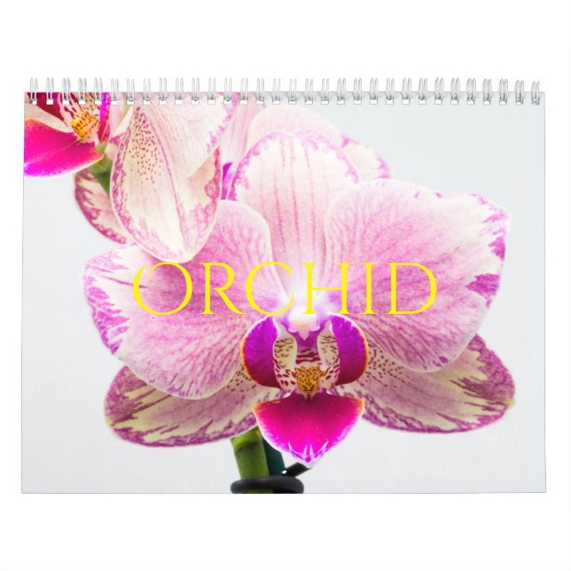 Orchid Kalender (Omslag)