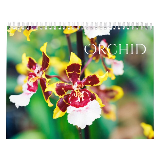 Orchid Kalender (Omslag)