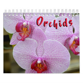 Orchid kalender för 12 månad