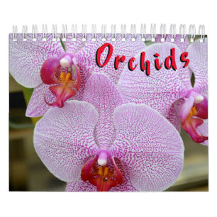 Orchid kalender för 12 månad