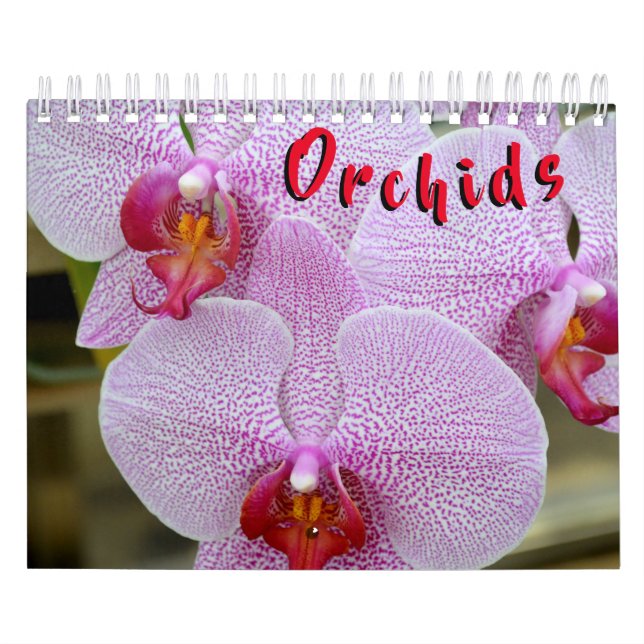 Orchid kalender för 12 månad (Omslag)