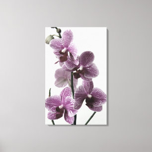 Orchid-Kanvastryck Canvastryck