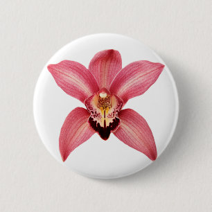 Orchid-knapp Knapp