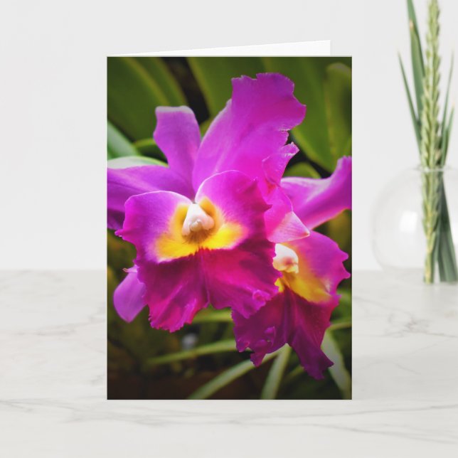 Orchid, kort (Framsida)