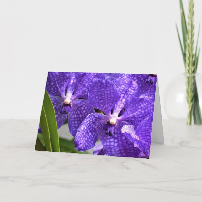Orchid, kort (Framsida)