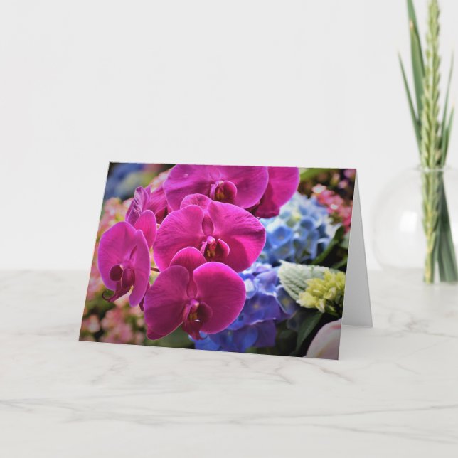 Orchid, kort (Framsida)