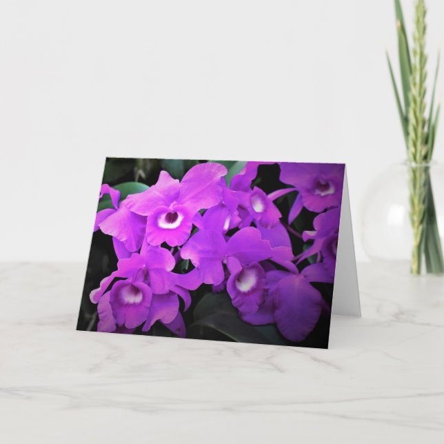 Orchid, kort (Framsida)