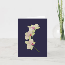 Orchid Kort