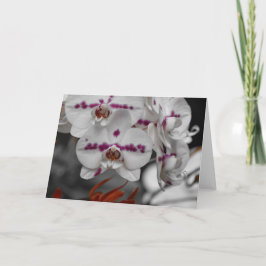 Orchid, kort