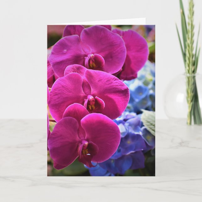 Orchid, kort (Framsida)