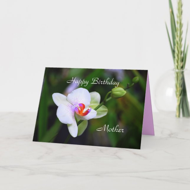 Orchid-kort för Grattis på födelsedagen Phalaenops Kort (Framsida)