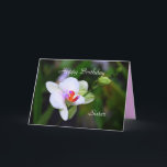 Orchid-kort för grattis på födelsedagen Sister Pha Kort<br><div class="desc">Familjen Orchid är enligt Wikipedia en mångfasetterad och utbredd familj av monokoter i ordningen Asparagales. Den anses för närvarande vara den största familjen av blommar växter, med mellan 21 950 och 26 049 arter som för närvarande är godkända och som återfinns i 880 släkten. Antalet orkidéarter är mer än dubbelt...</div>