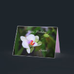 Orchid-kort för grattis på födelsedagen Sister Pha Kort<br><div class="desc">Familjen Orchid är enligt Wikipedia en mångfasetterad och utbredd familj av monokoter i ordningen Asparagales. Den anses för närvarande vara den största familjen av blommar växter, med mellan 21 950 och 26 049 arter som för närvarande är godkända och som återfinns i 880 släkten. Antalet orkidéarter är mer än dubbelt...</div>