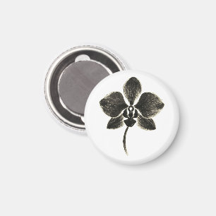 Orchid Line Teckning - Blommigt Magnet