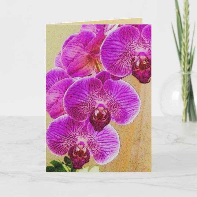 Orchid-löften kan vara personlig helgkort (Framsida)