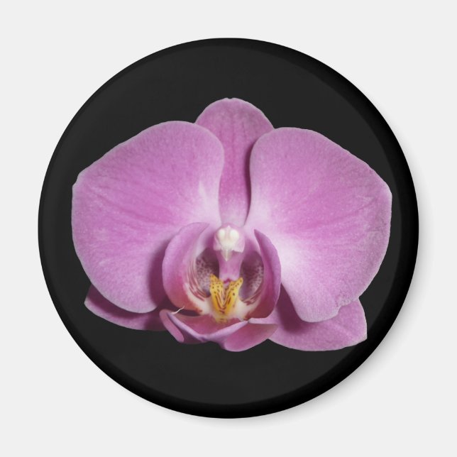 orchid magnet (Framsidan)