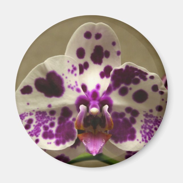 Orchid magnet (Framsidan)