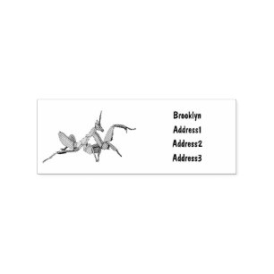 Orchid mantis tecknad illustration stämpel