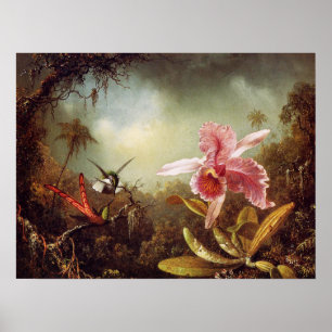 Orchid med affischen för två Hummingbirds Poster