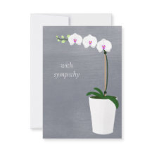 Orchid | Med sympati