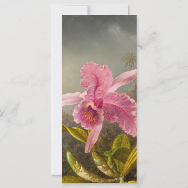 Orchid med två Hummingbird-Heade Card (Framsida)