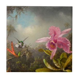 Orchid med två Hummingbird Heade Kakelplatta