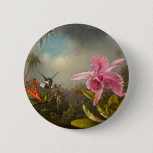 Orchid med två Hummingbird Heade Knapp