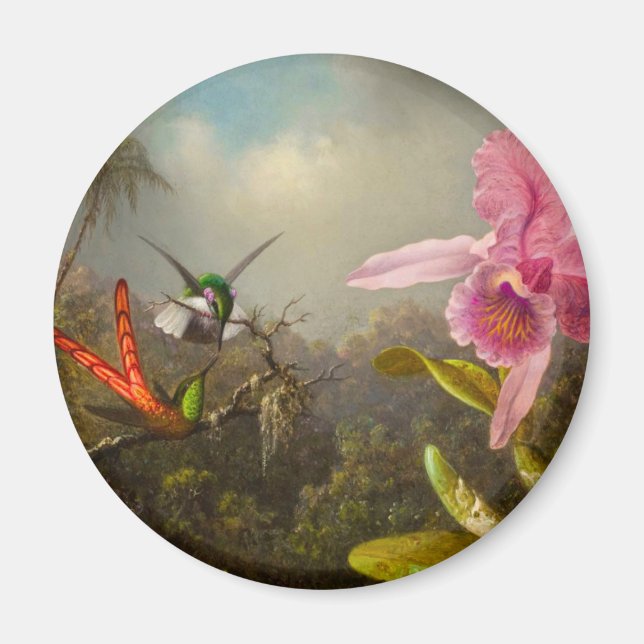Orchid med två Hummingbird Heade Magnet (Framsidan)