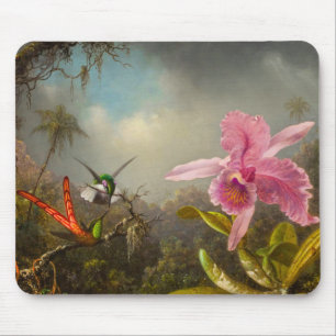 Orchid med två Hummingbird Heade Musmatta