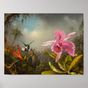 Orchid med två Hummingbird Heade Poster