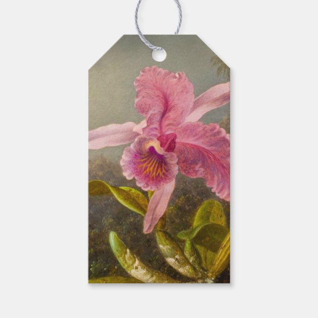Orchid med två Hummingbird Heade Presentetikett (Framsidan)