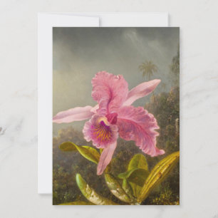 Orchid med två Hummingbird Heade Spara Datumet