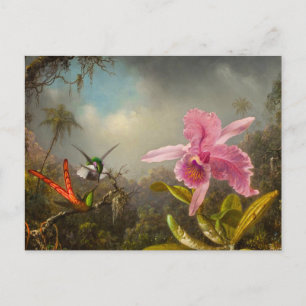 Orchid med två Hummingbird Heade Vykort